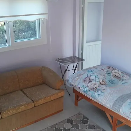 Lavender Tiny Houses Holiday home *