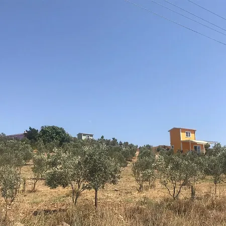 Lavender Tiny Houses Seferihisar