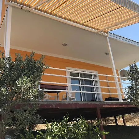 Lavender Tiny Houses *